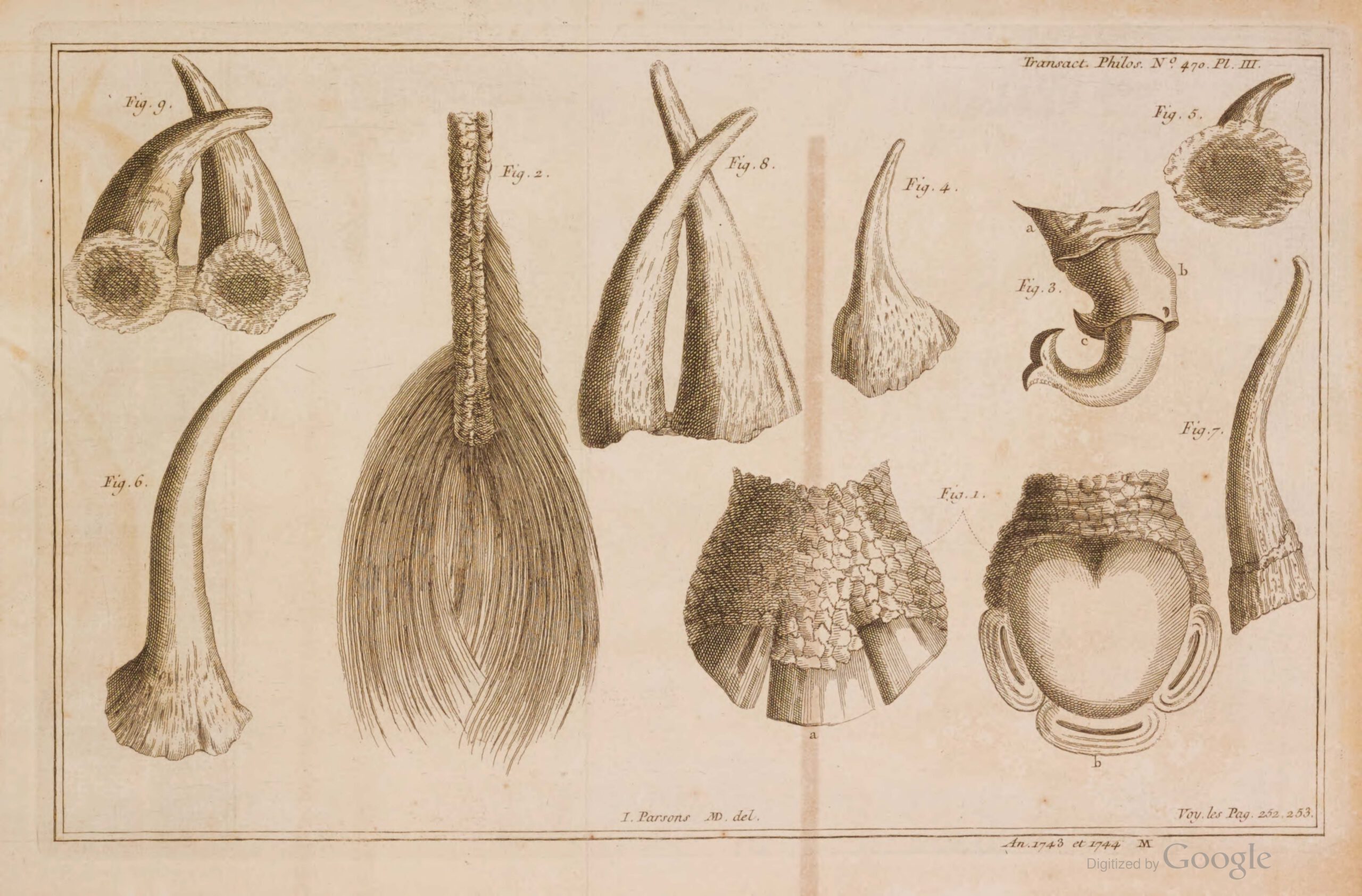 Parsons 1760 French plate 3