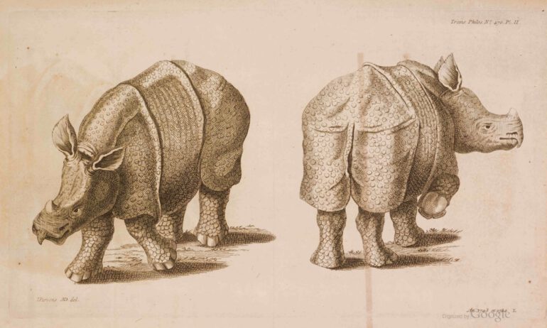 Parsons 1760 French plate 2