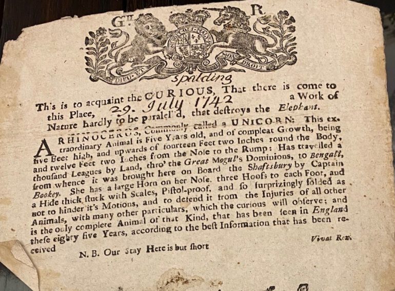 Spalding Rhinoceros 1742