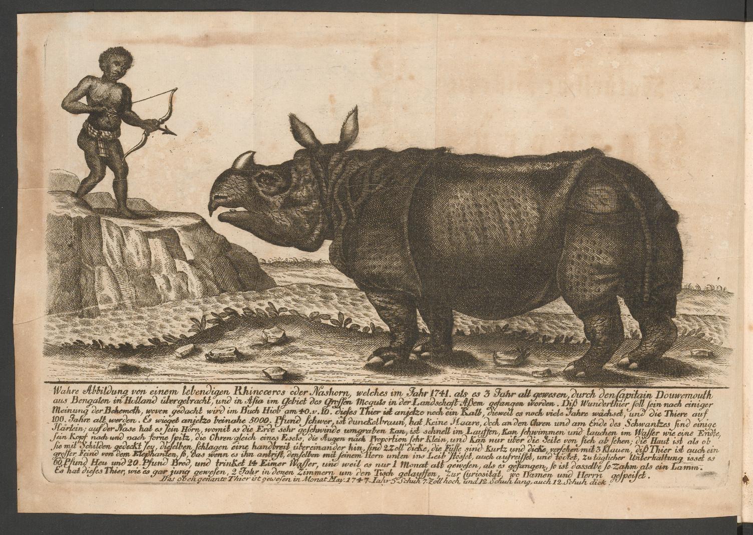 Snall poster advertising Clara 1747