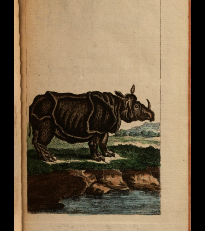 Buffon Naturgeschichte 1784