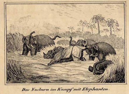 Heller-Blatt after Williamson