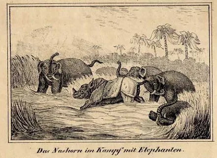 Heller-Blatt after Williamson