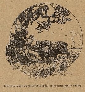 Claudet chased to tree