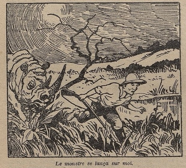 Blind rhino in South Africa