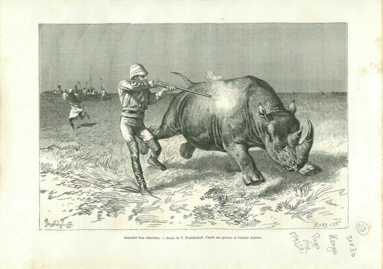 Thomson shooting black rhino