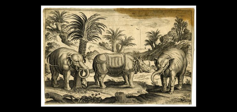 Collaert edition Visscher