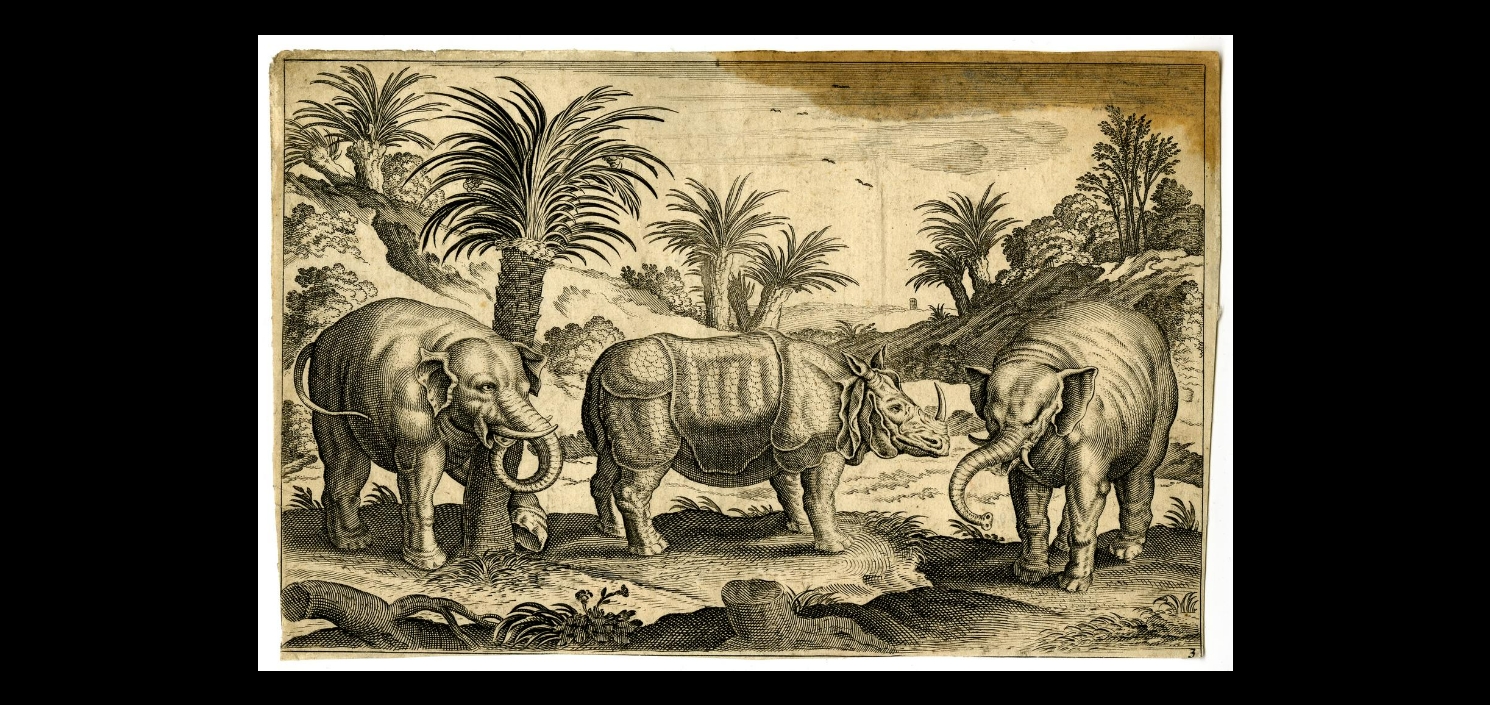 Collaert edition Visscher