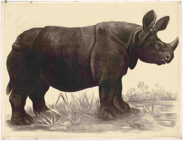 Engleder Educational Poster