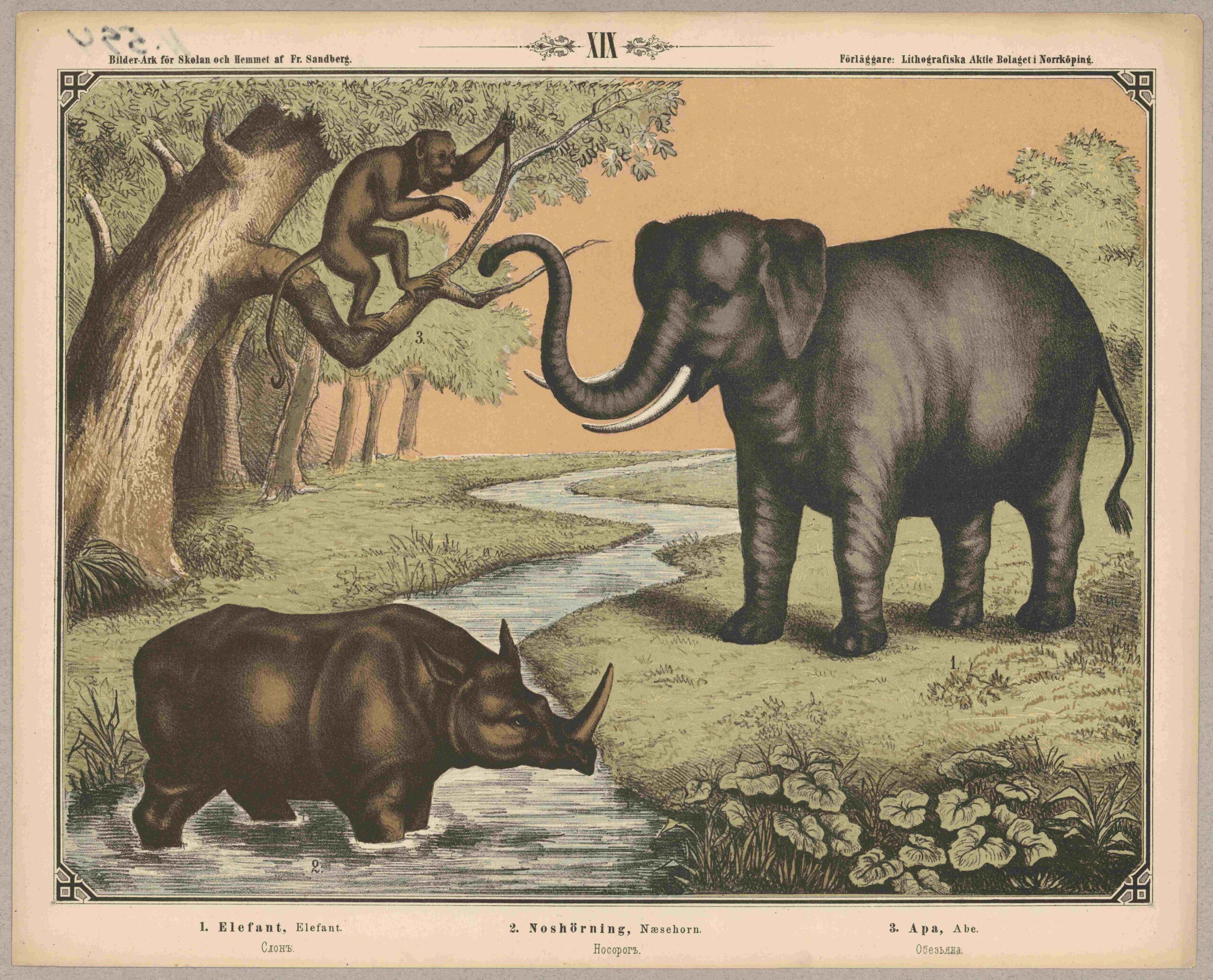 Fredrik Sandberg poster