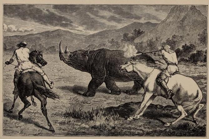 Baker’s rhinoceros