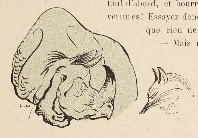 Metivet: Rhino in Ark 3