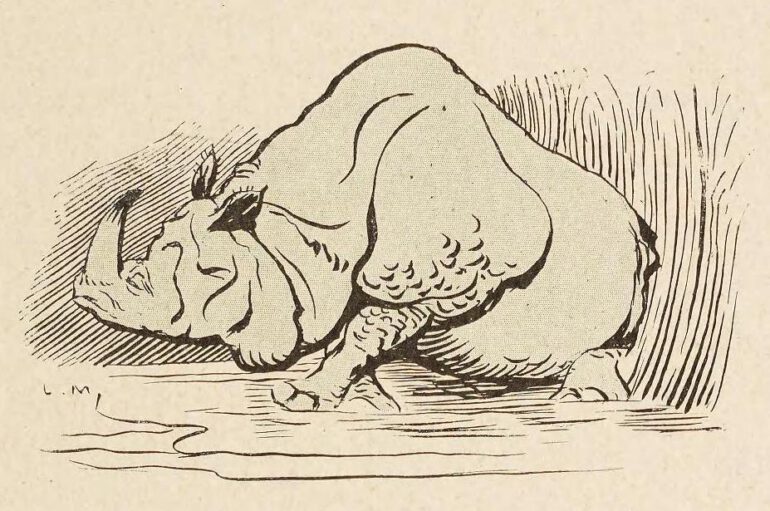 Metivet: Rhino in Ark 5