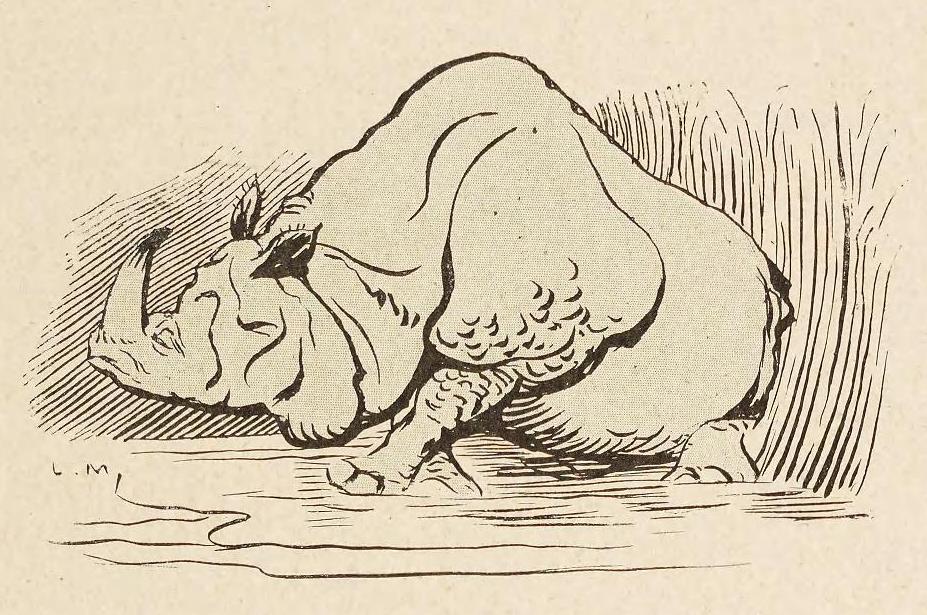 Metivet: Rhino in Ark 5