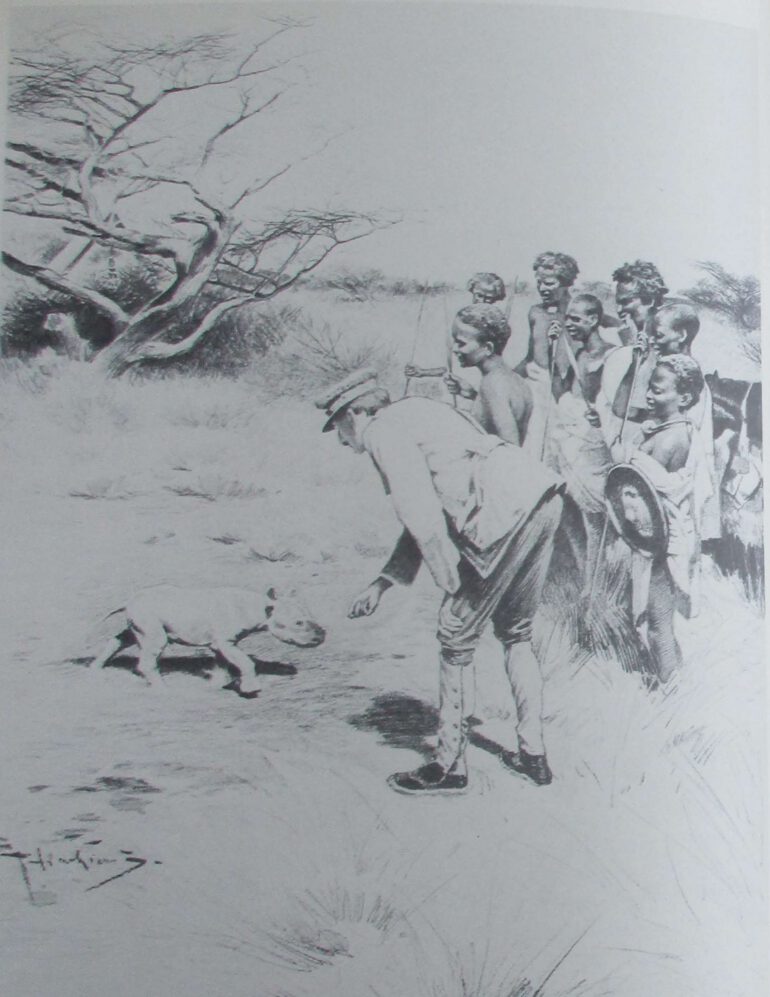 Potocki with baby rhino