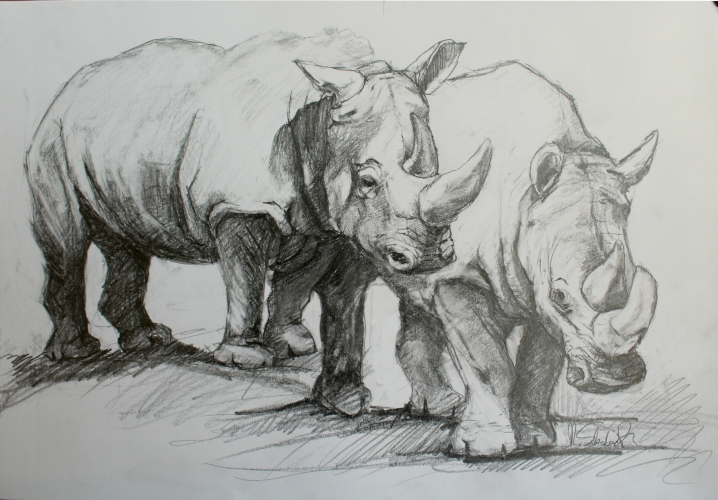 White rhino graphic