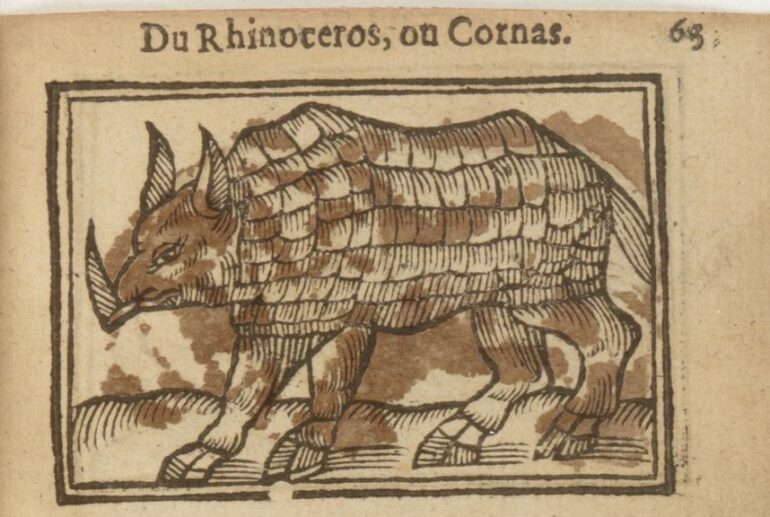 Aneau Description Philosophale