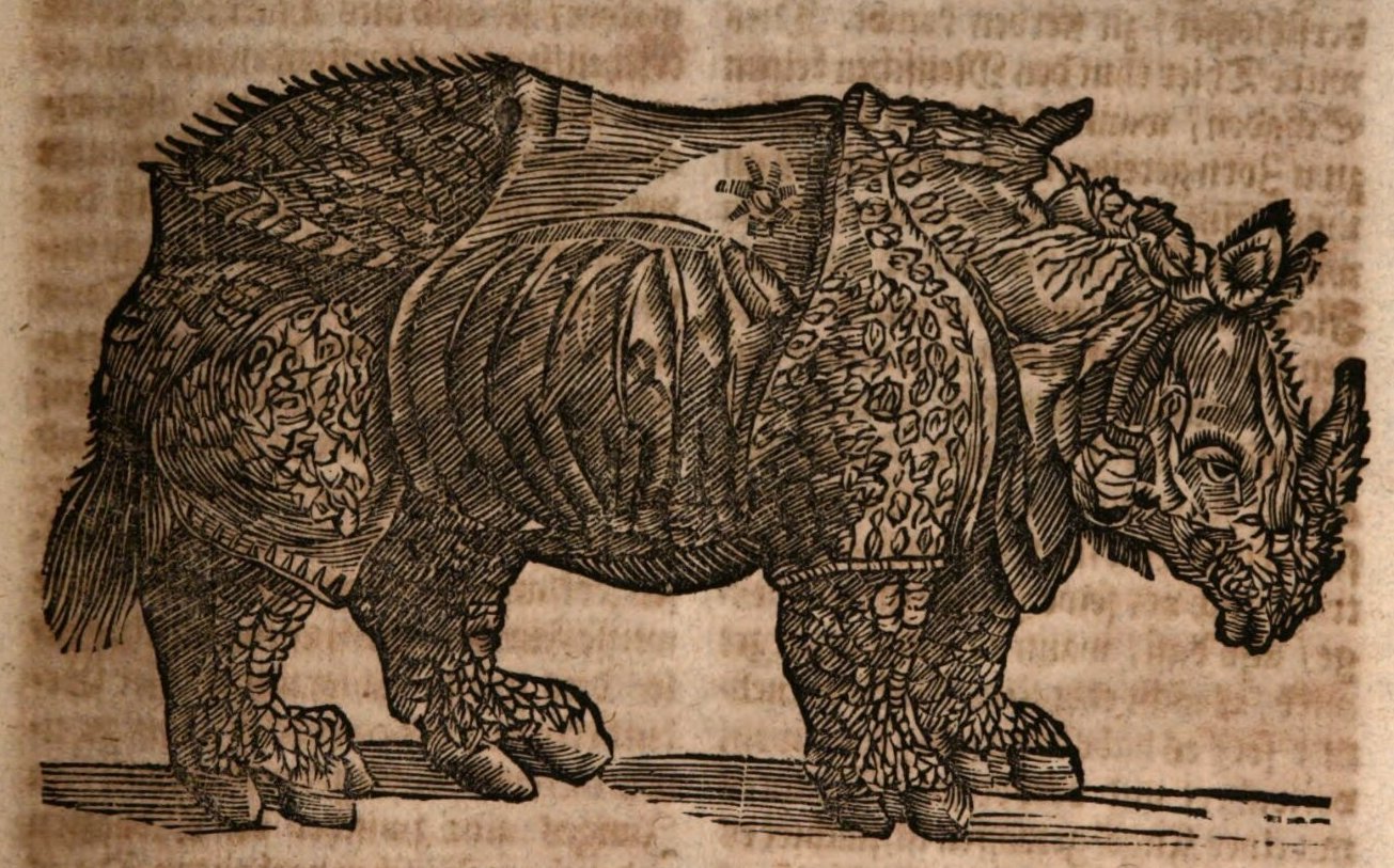 Nylant Rhinoceros