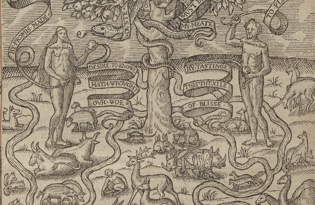 Rhino in Garden of Eden 1616