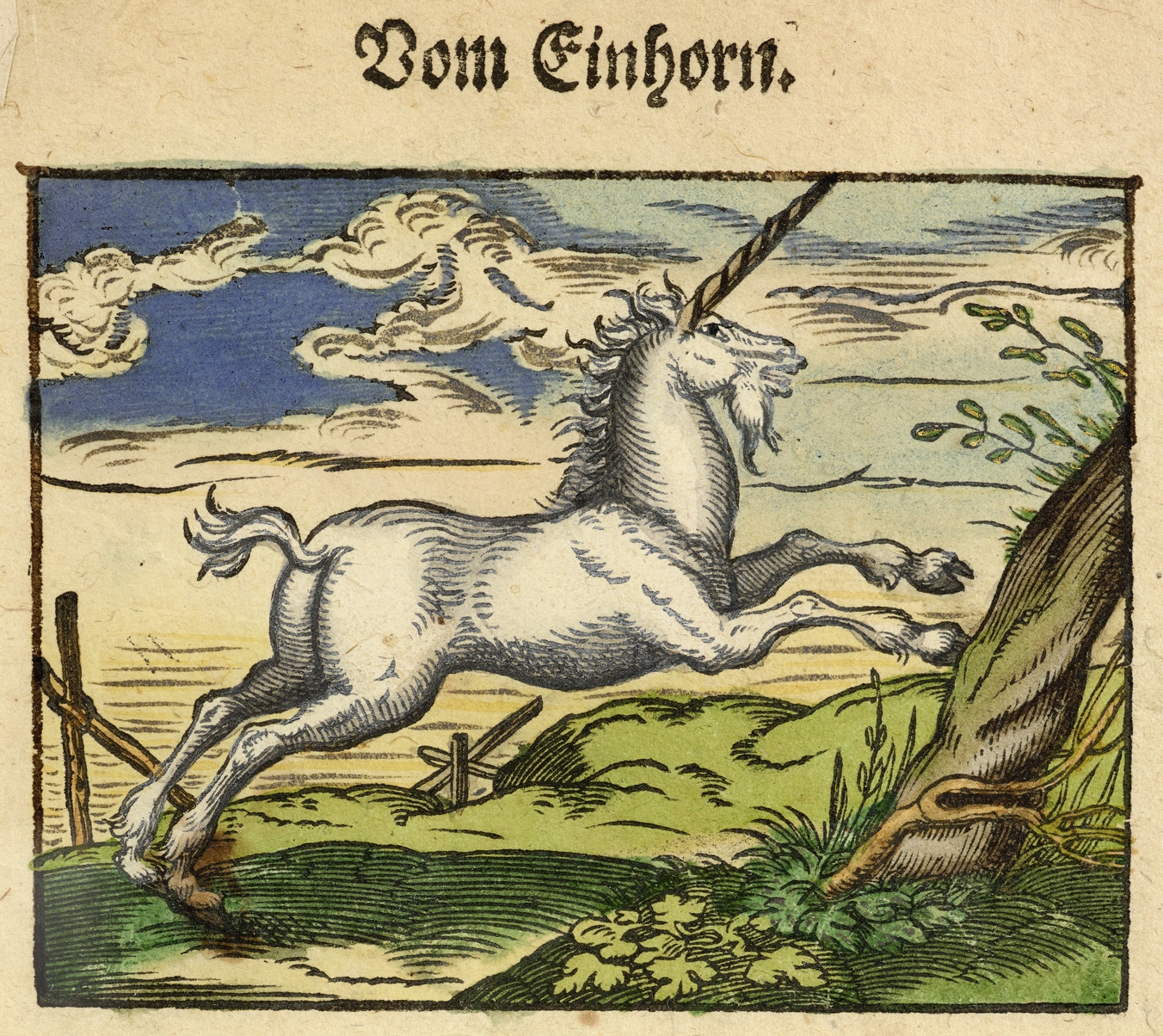 Ammann 1569 Einhorn