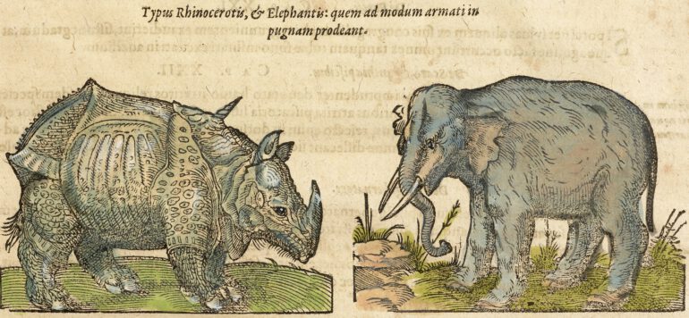 Uffenbach 1610 Rhino and Elephant
