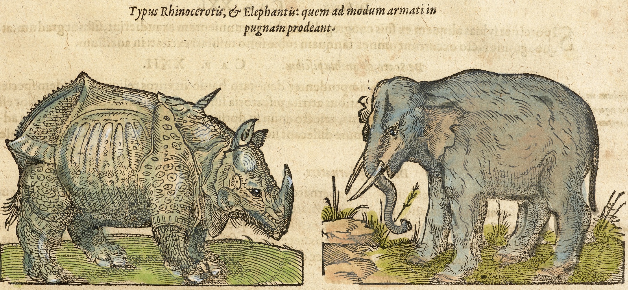 Uffenbach 1610 Rhino and Elephant