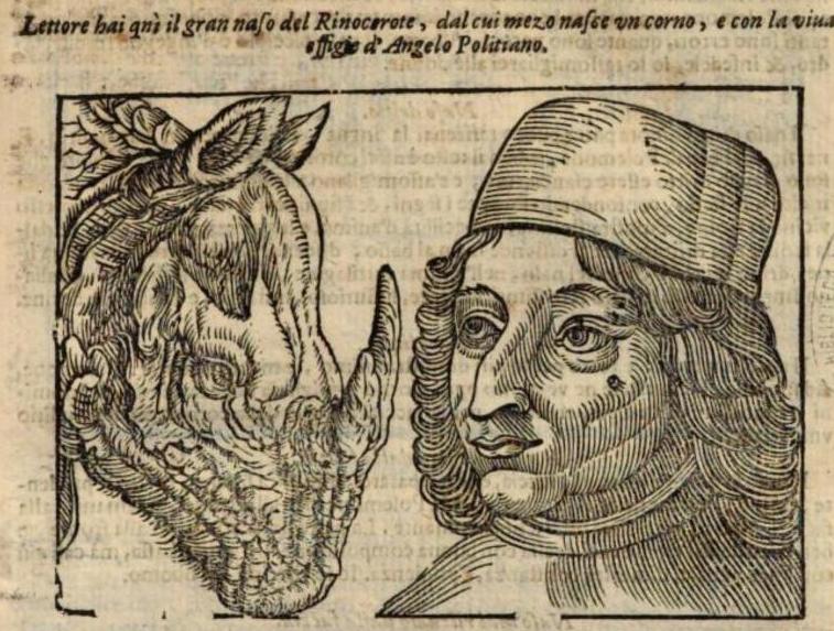 Della Porta 1668 Rinoceronte