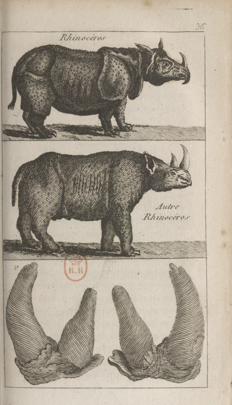 Buffon 1819 Beautés