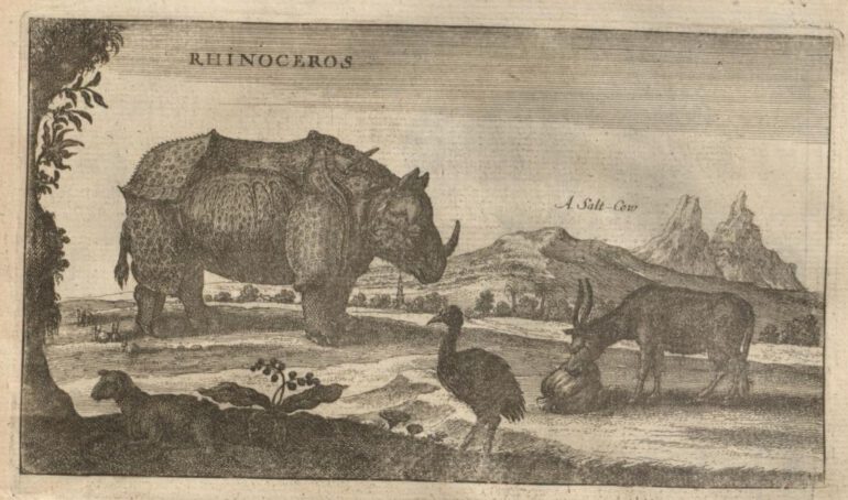 Nieuhof 1669 Embassy