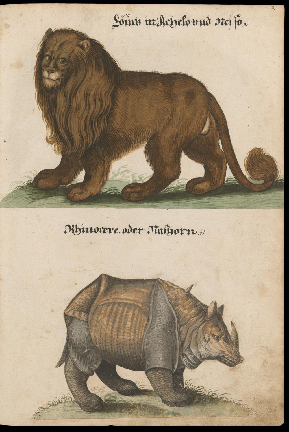 Undated aquarel in Zurich