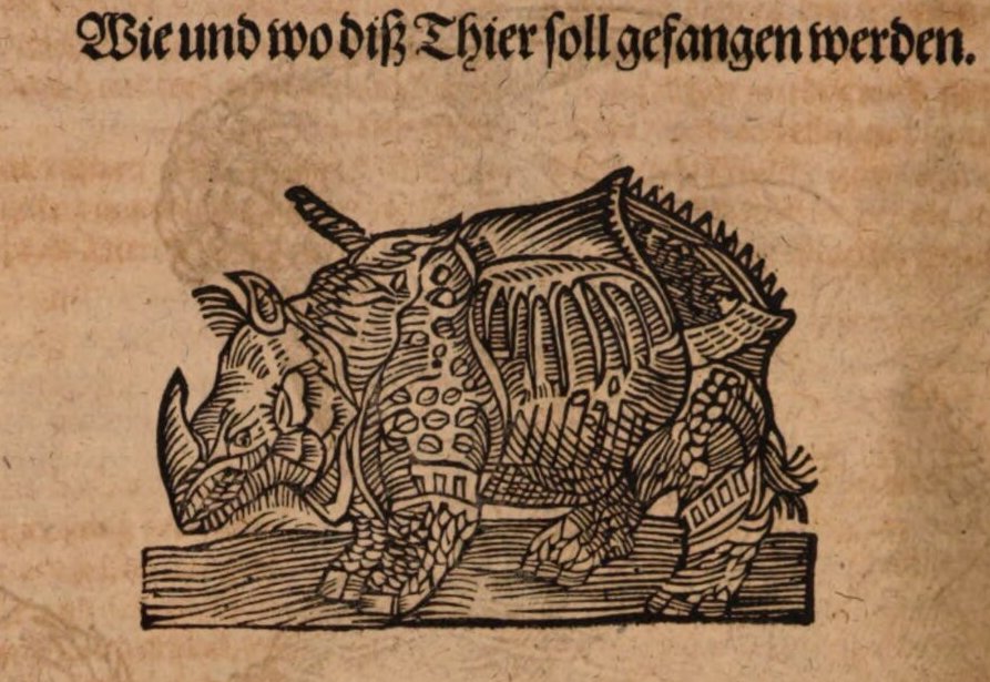 Gesnerus Redivivus 1669 after Durer