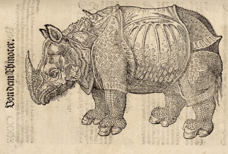 Geesner 1583 Thierbuch