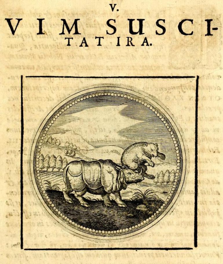 Camerarius 1654 Rhino and bear