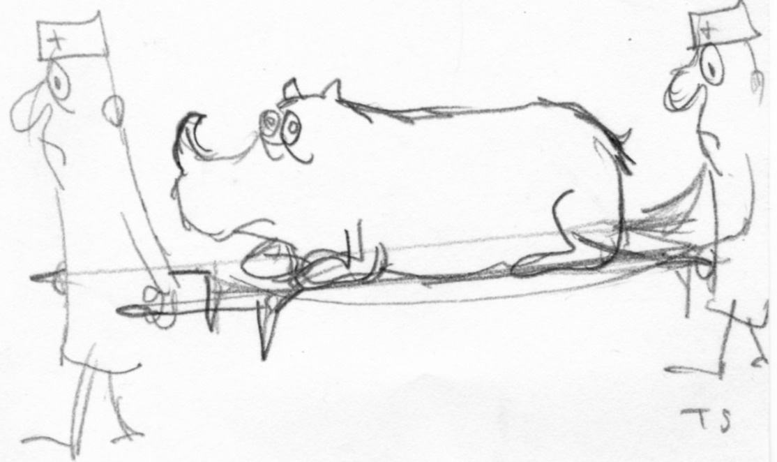 Rhino on stretcher