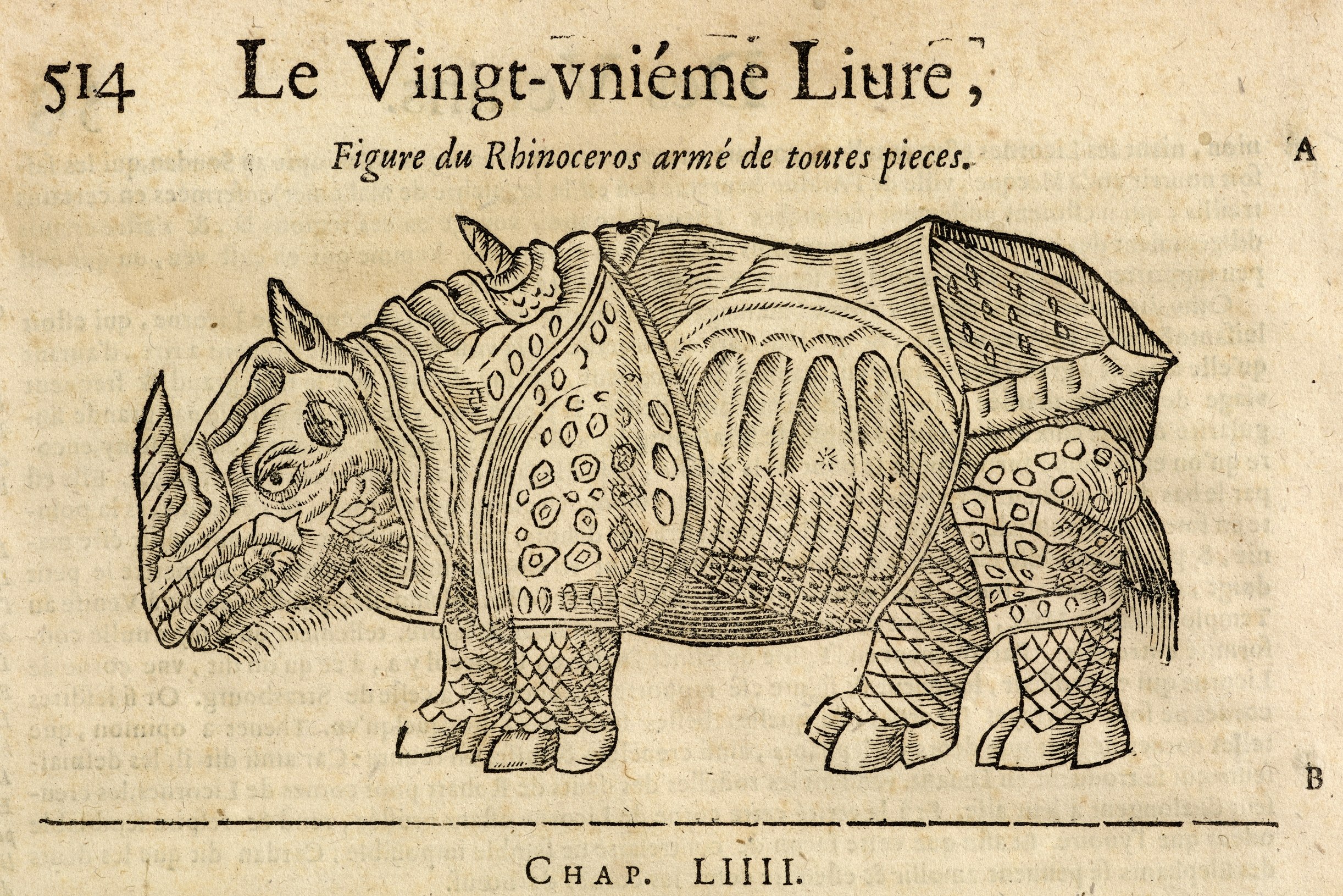 Pare 1573 Durer-rhino