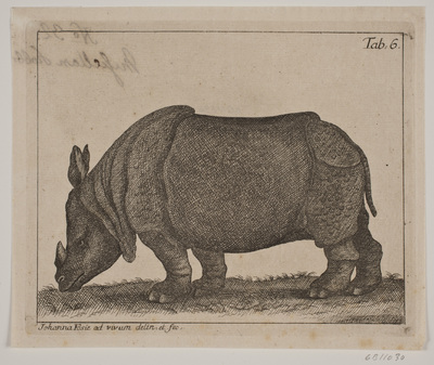 Fosie 1755 Clare in Copenhagen