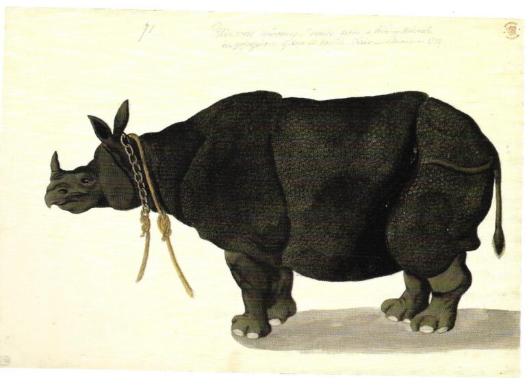 Lucknow 1789 Hardwicke Collection