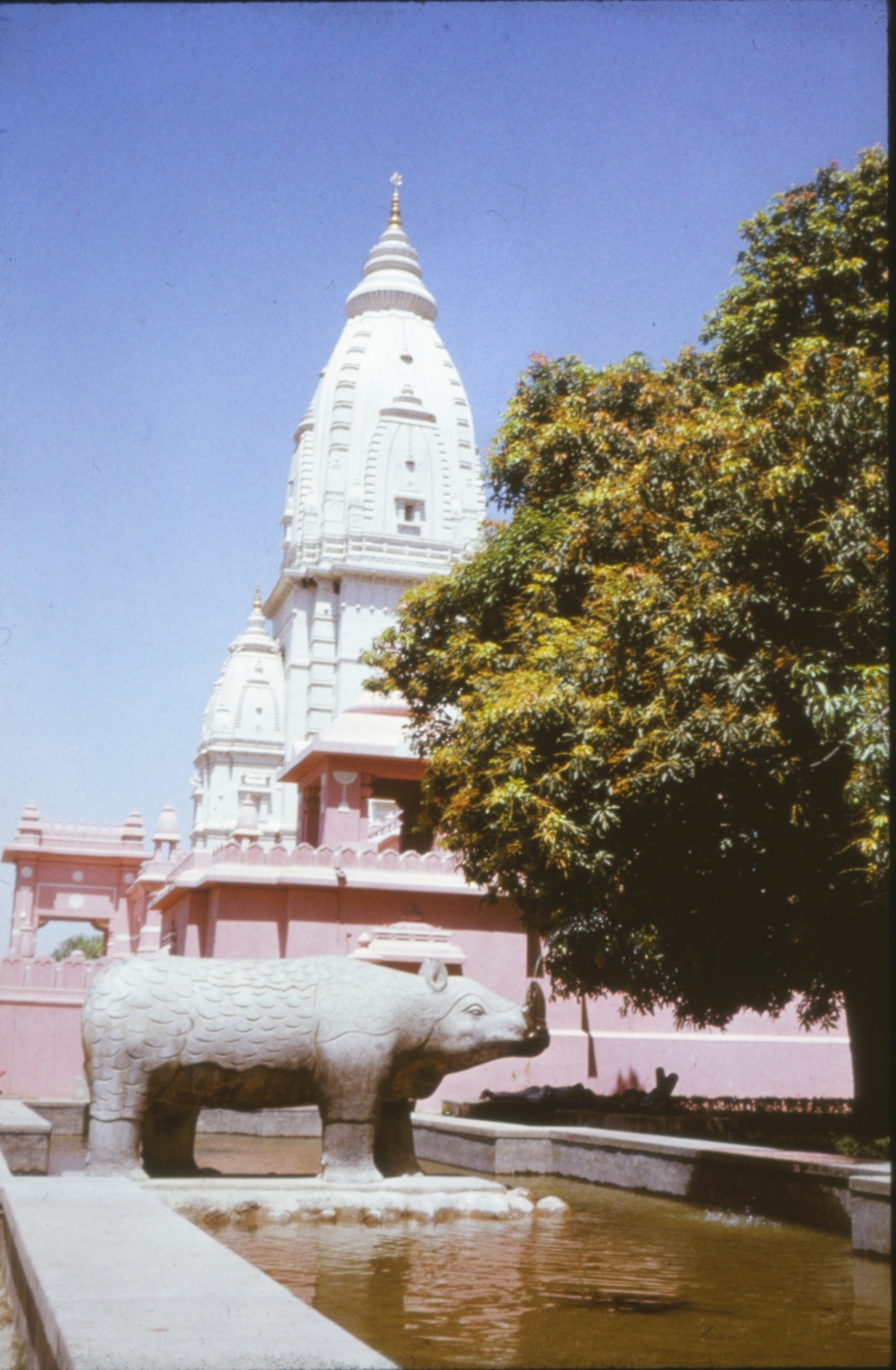 Hindu University Varanasi