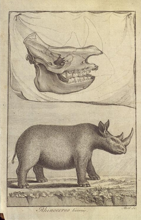 Sparrman 1778 Handlingar