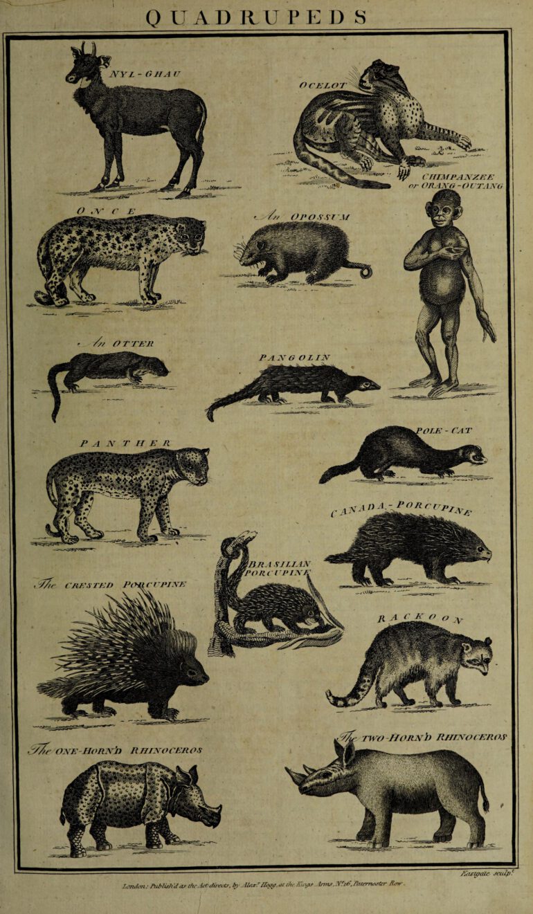 Complete and Universal Body 1785