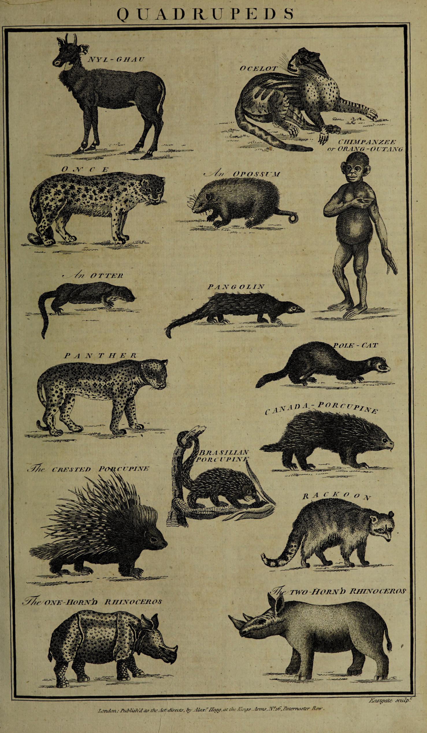 Complete and Universal Body 1785