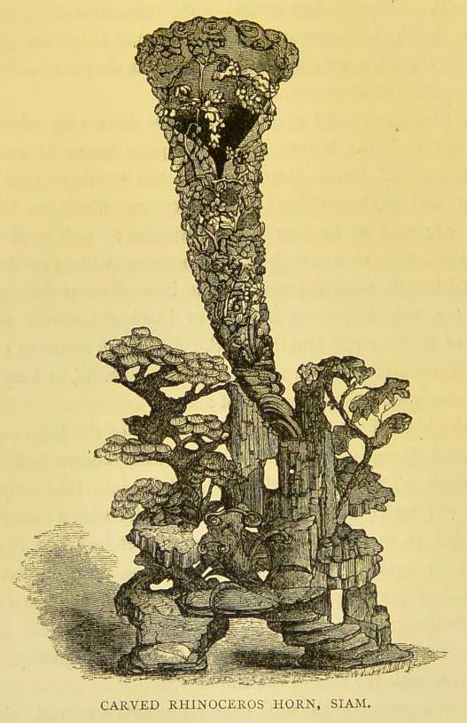 Carved horn from Thailand