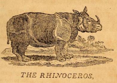 Bewick 1804 American edition