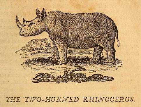 Bewick 1804 American edition