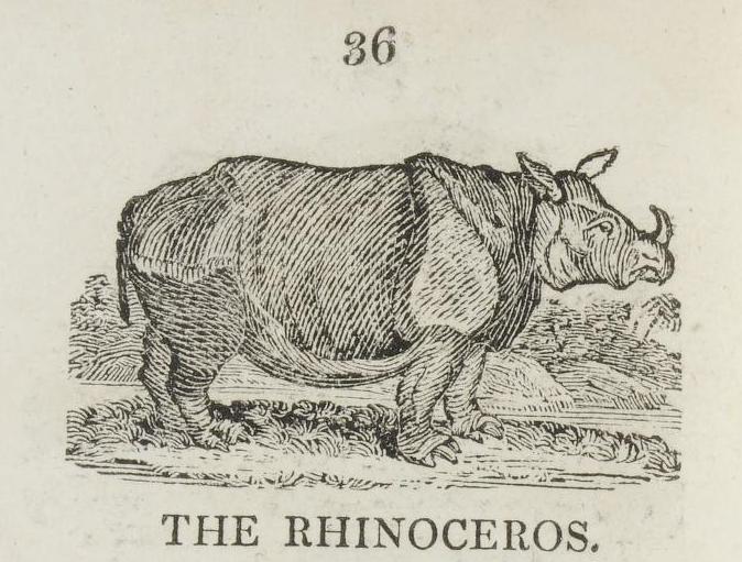 Bewick 1820 Foreign Quadrupeds