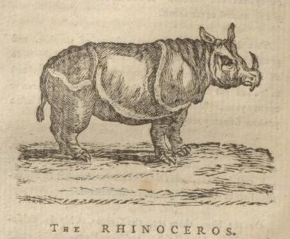 Riley 1793 Beauties of Creation