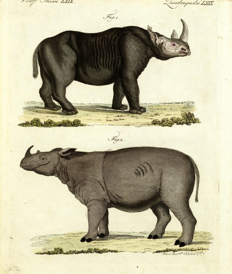 Bertuch 1808 Bilderbuch