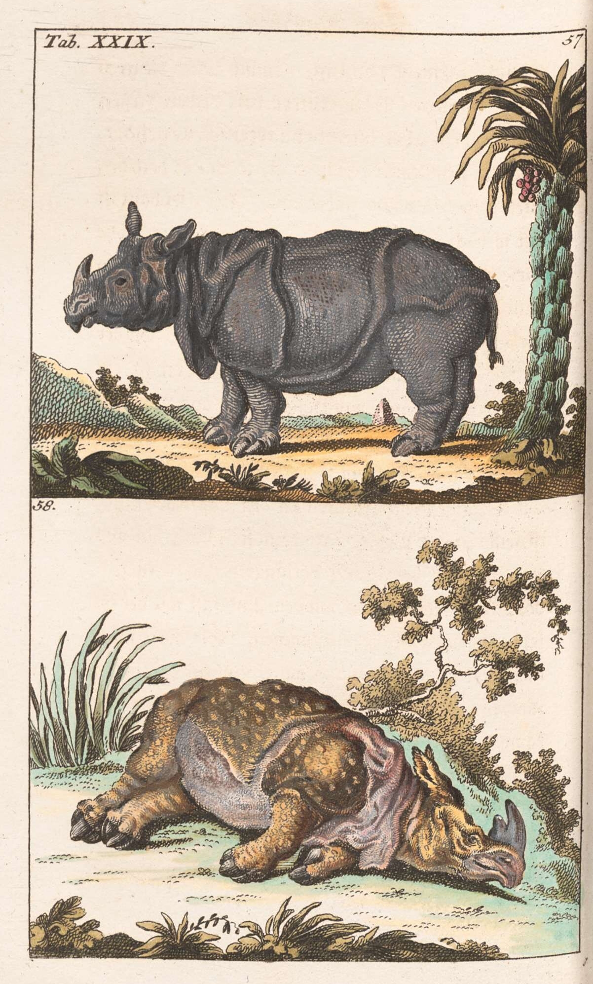 Wilhelm 1792 Unterhaltungen