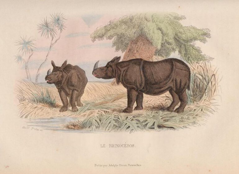 Buffon 1852 edition Deros