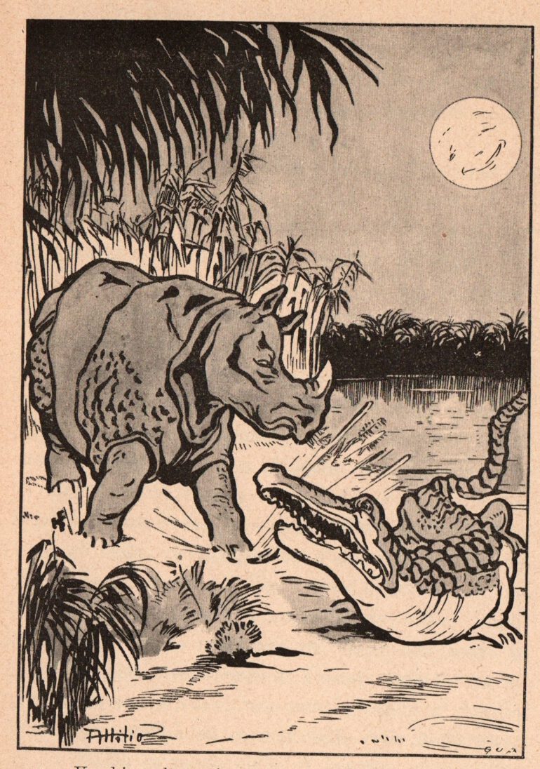 Ambrosini 1944 Rhino